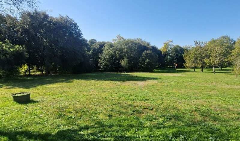 Grande maison à vendre 5 pièces FOUQUEBRUNE (16) + dépendances sur terrain d'env 6800 m2 - photo 19