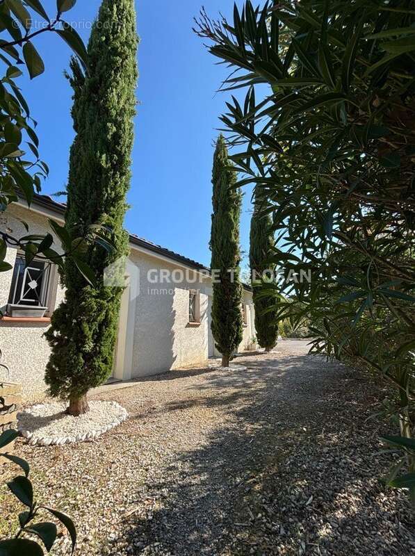 Appartement à MONTAUBAN