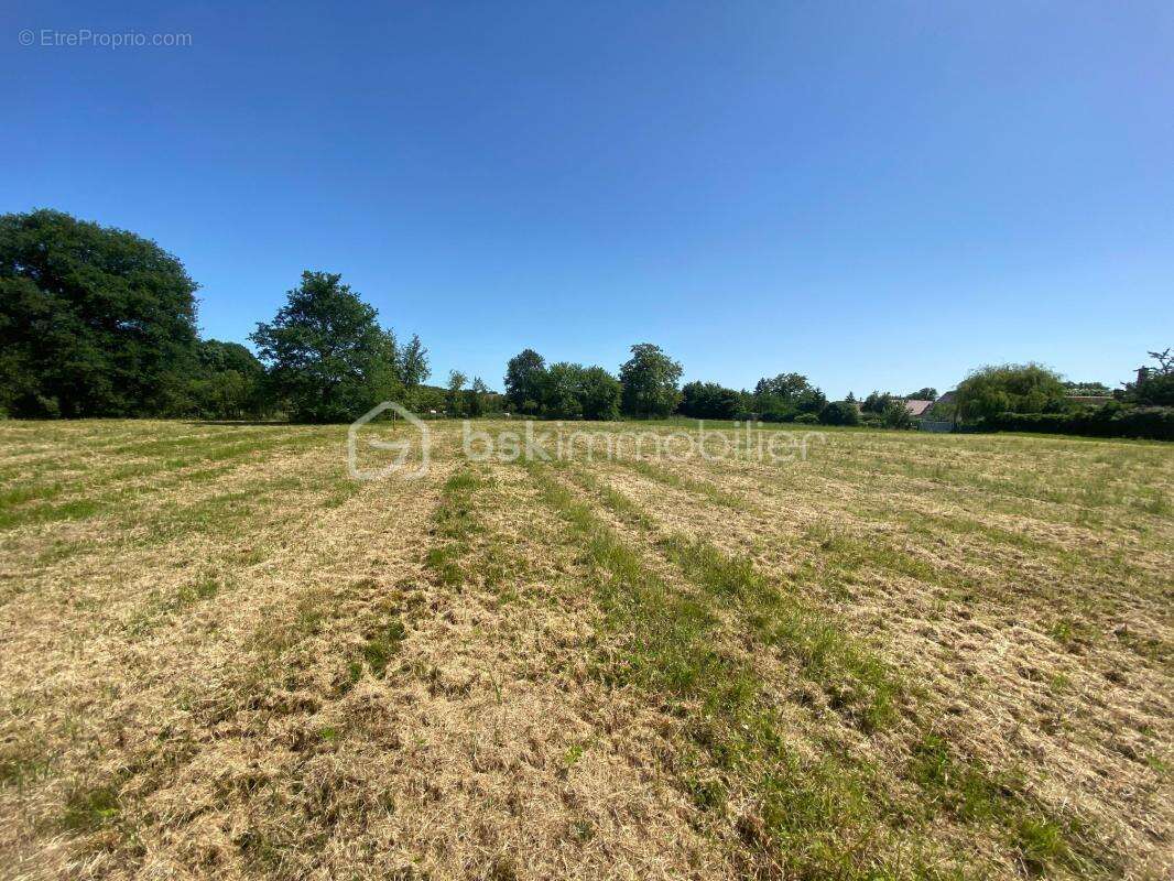 Terrain constructible 1216 m² à AUTHON ( moins de 10 min de CHATEAU-RENAULT ) - photo 5