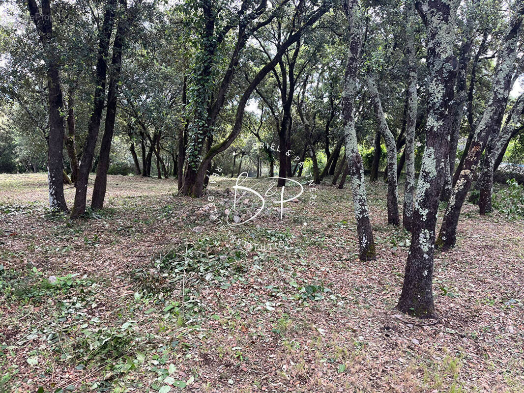 Terrain à LE THORONET