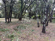 Terrain à LE THORONET