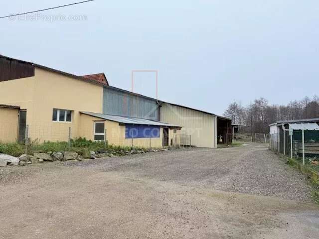 Commerce à TRIMBACH