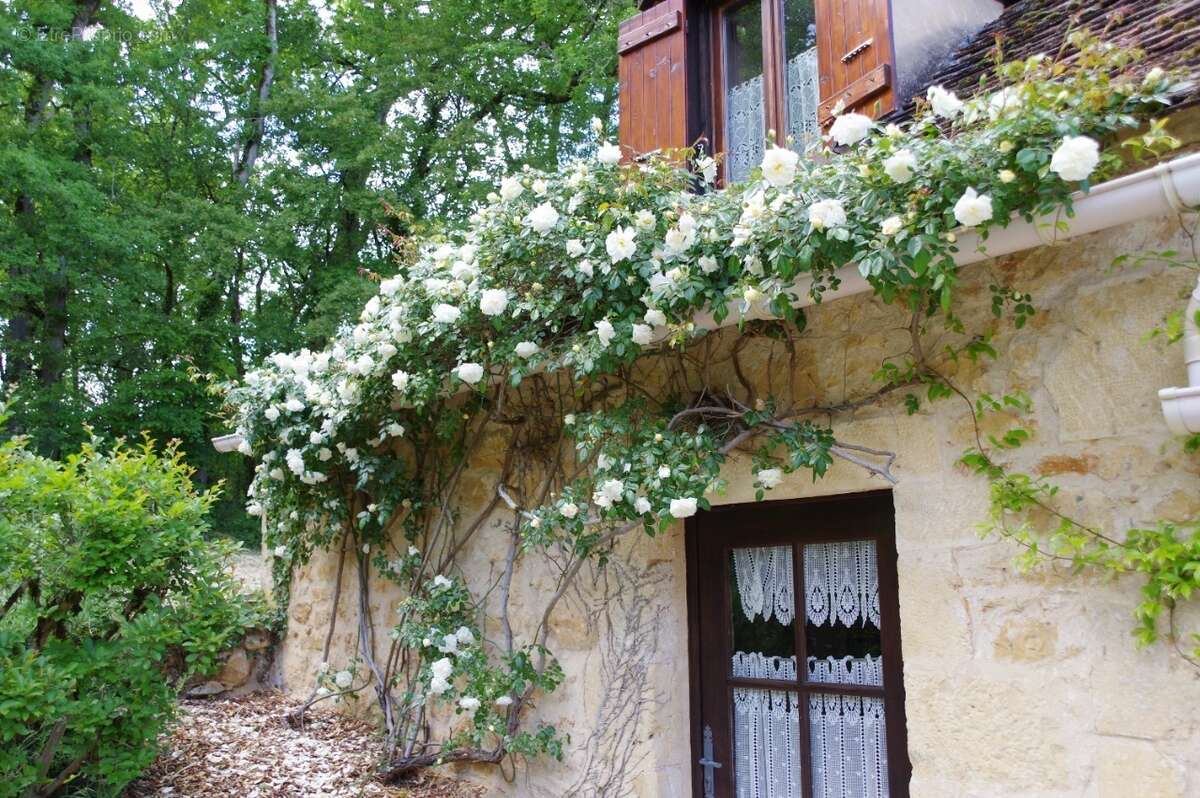 Maison à MAUZAC-ET-GRAND-CASTANG