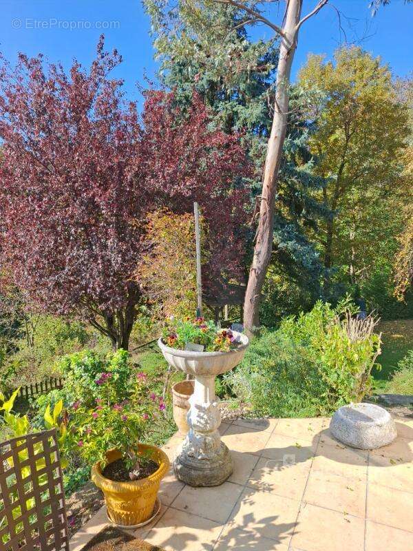 Maison à LA CHAPELLE-DE-SURIEU