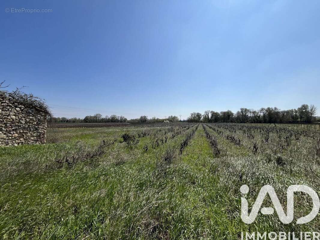 Photo 2 - Terrain à CODOLET