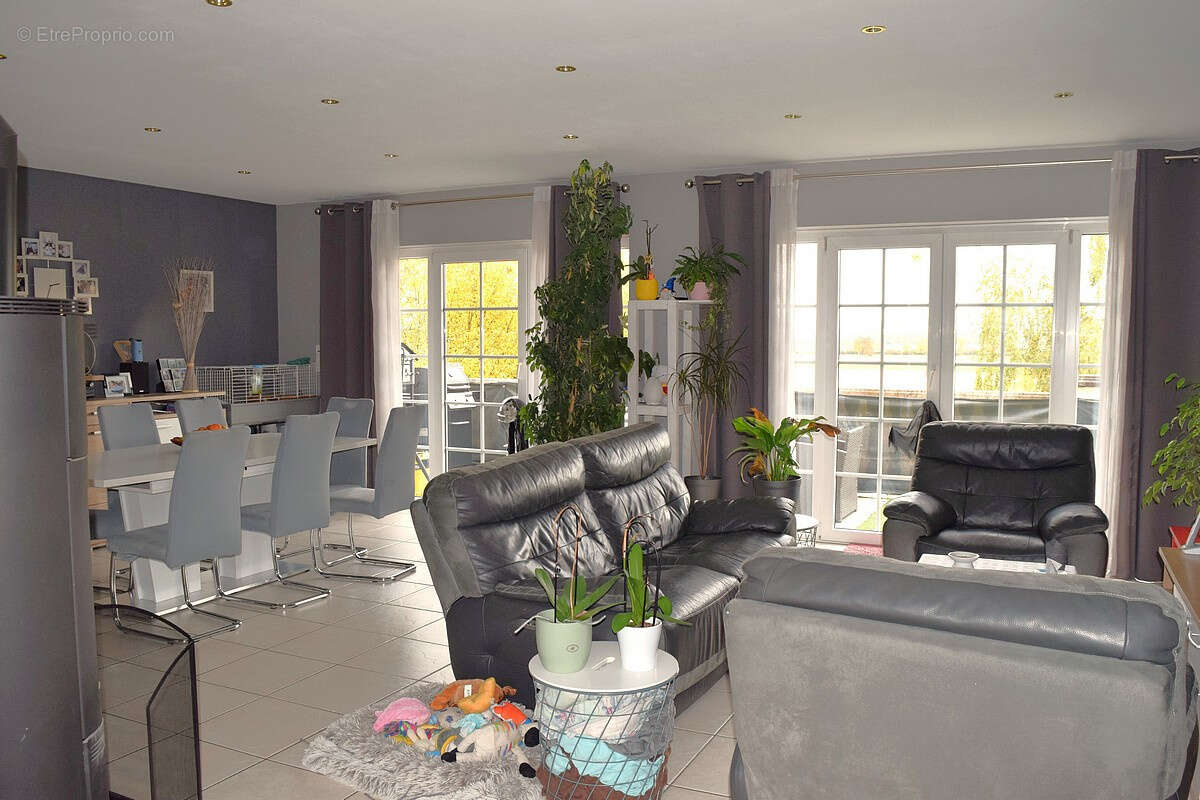 Appartement à SELTZ