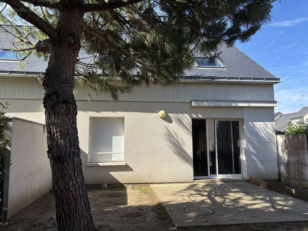 Maison à PELLOUAILLES-LES-VIGNES