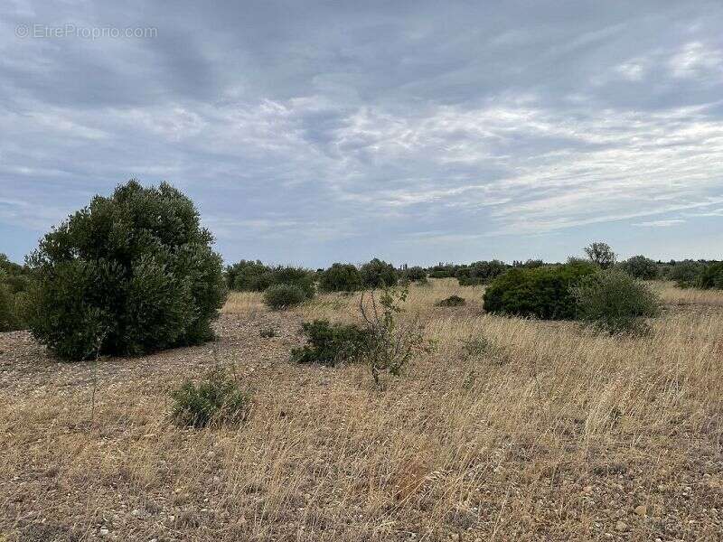 Terrain à SAINT-HIPPOLYTE