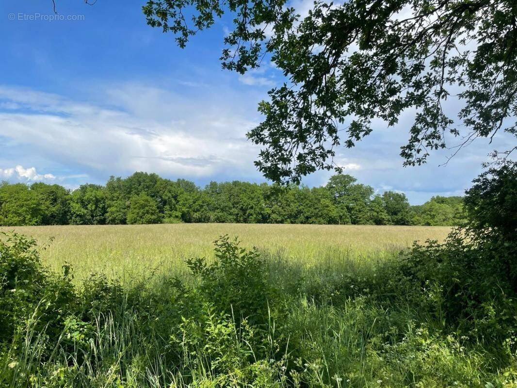 Terrain à PRIGNAC-ET-MARCAMPS