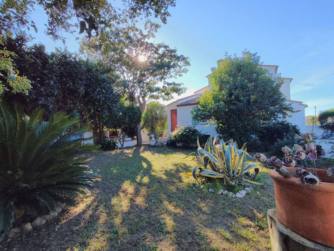 Maison à VILLELONGUE-DE-LA-SALANQUE