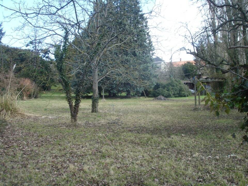 Terrain à MOUROUX