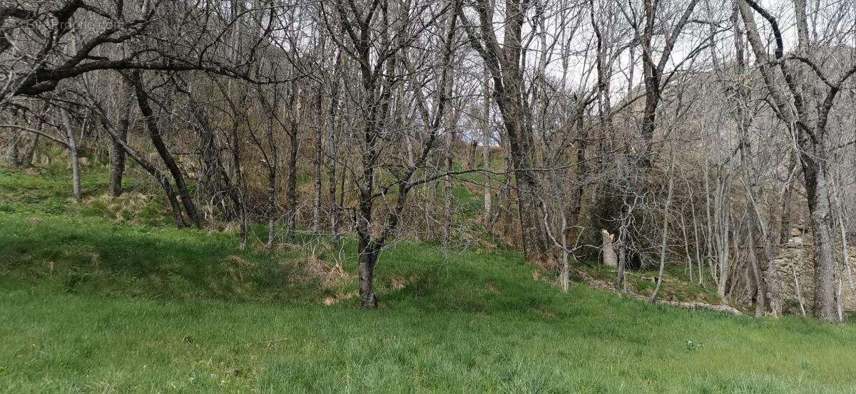 Terrain à LE FRENEY-D'OISANS