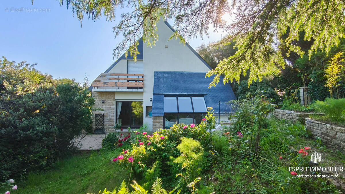 Maison à MOELAN-SUR-MER