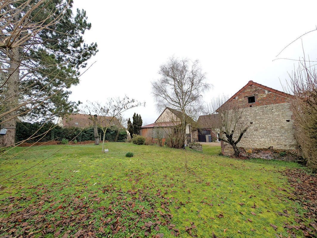 Maison à AILLANT-SUR-THOLON