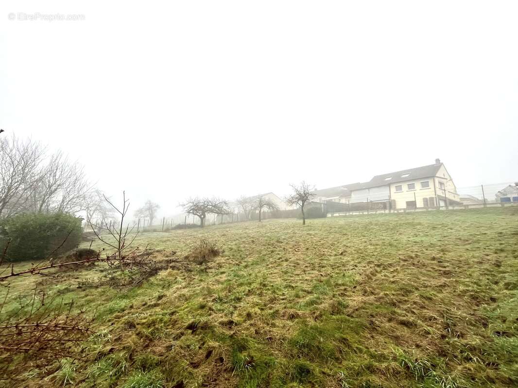 Terrain 1032 m² à Aiglemont  - photo 16
