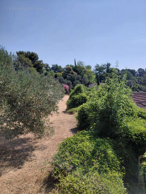 Terrain à MARSEILLE-11E