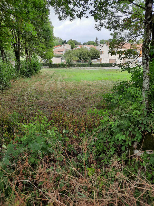 Terrain à VIALA-DU-PAS-DE-JAUX