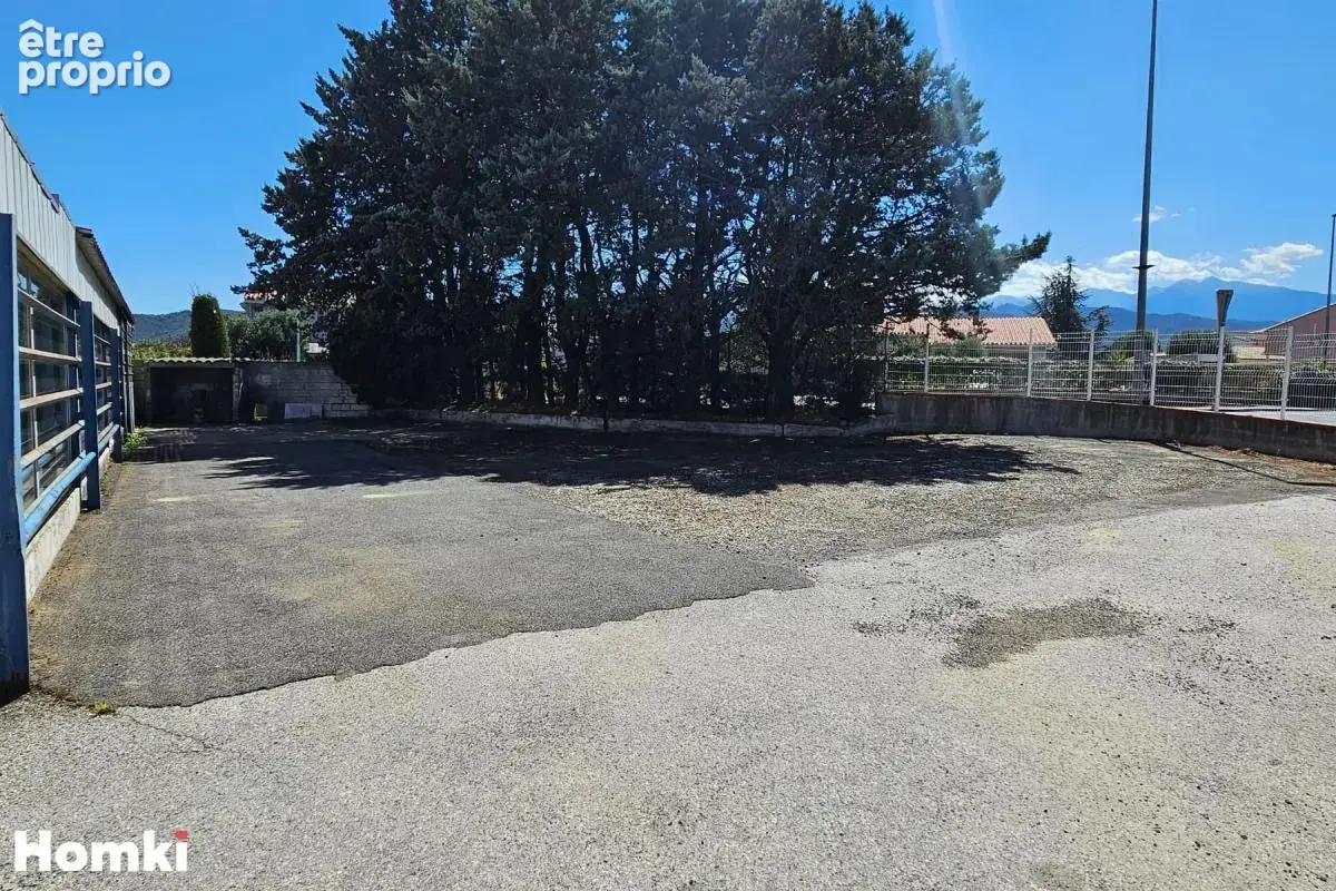 Local commercial T6 de 470 m² à Ille-sur-Têt 66130, Route de Perpignan - photo 12
