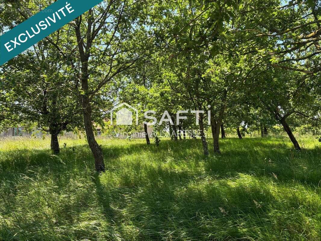 Photo 2 - Maison à SAINT-SARDOS