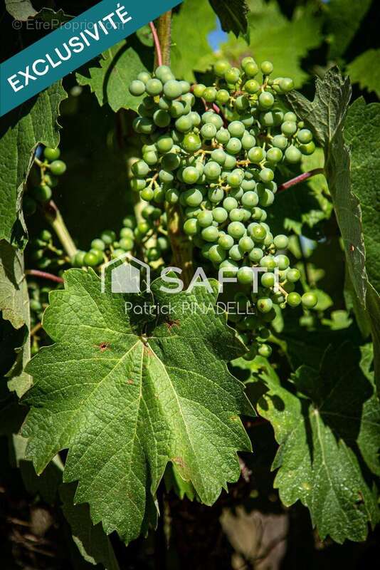 Photo 6 - Appartement à LATOUR-DE-FRANCE