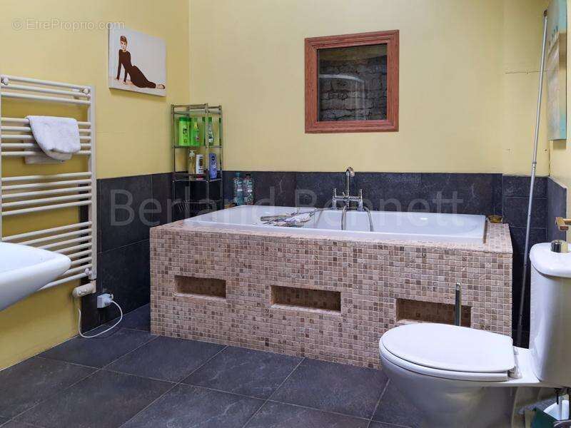 Maison à SAUZE-VAUSSAIS