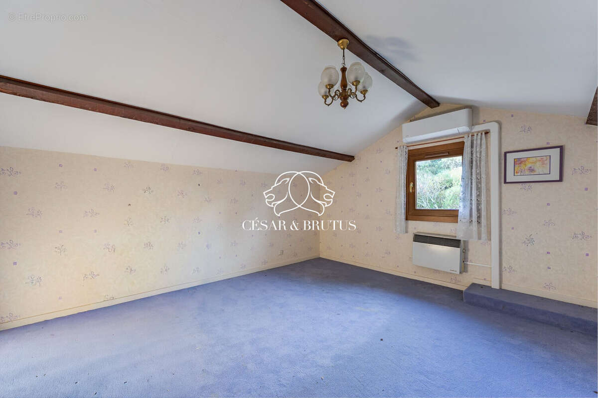 Maison à SAINT-ROMAIN-AU-MONT-D'OR