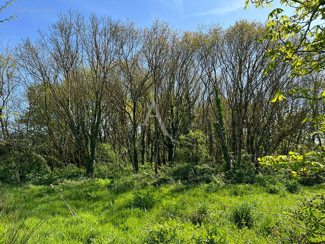 Maison à SAINT-GERVAIS