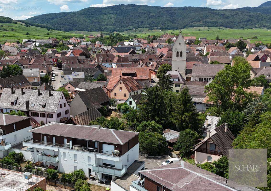 Appartement 2 pièces avec jardin, terrasse, parking et cave – Mittelwihr - photo 8