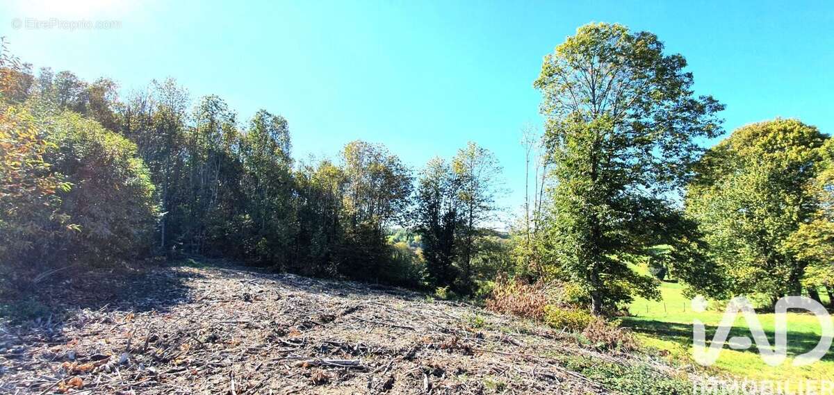 Terrain 2500 m² à Albussac  - photo 2