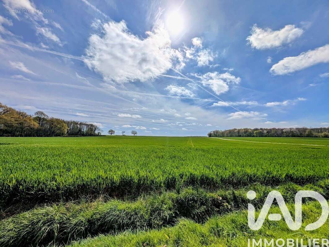 Photo 9 - Maison à LHOMME