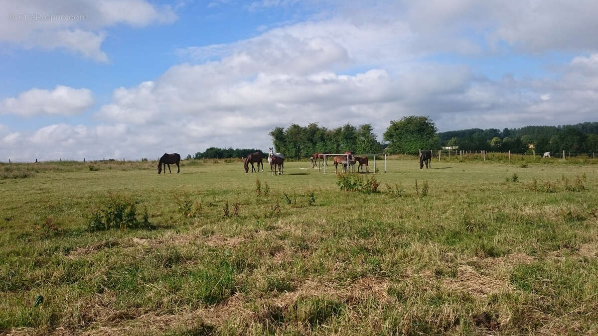 Maison à SAINT-POL-SUR-TERNOISE