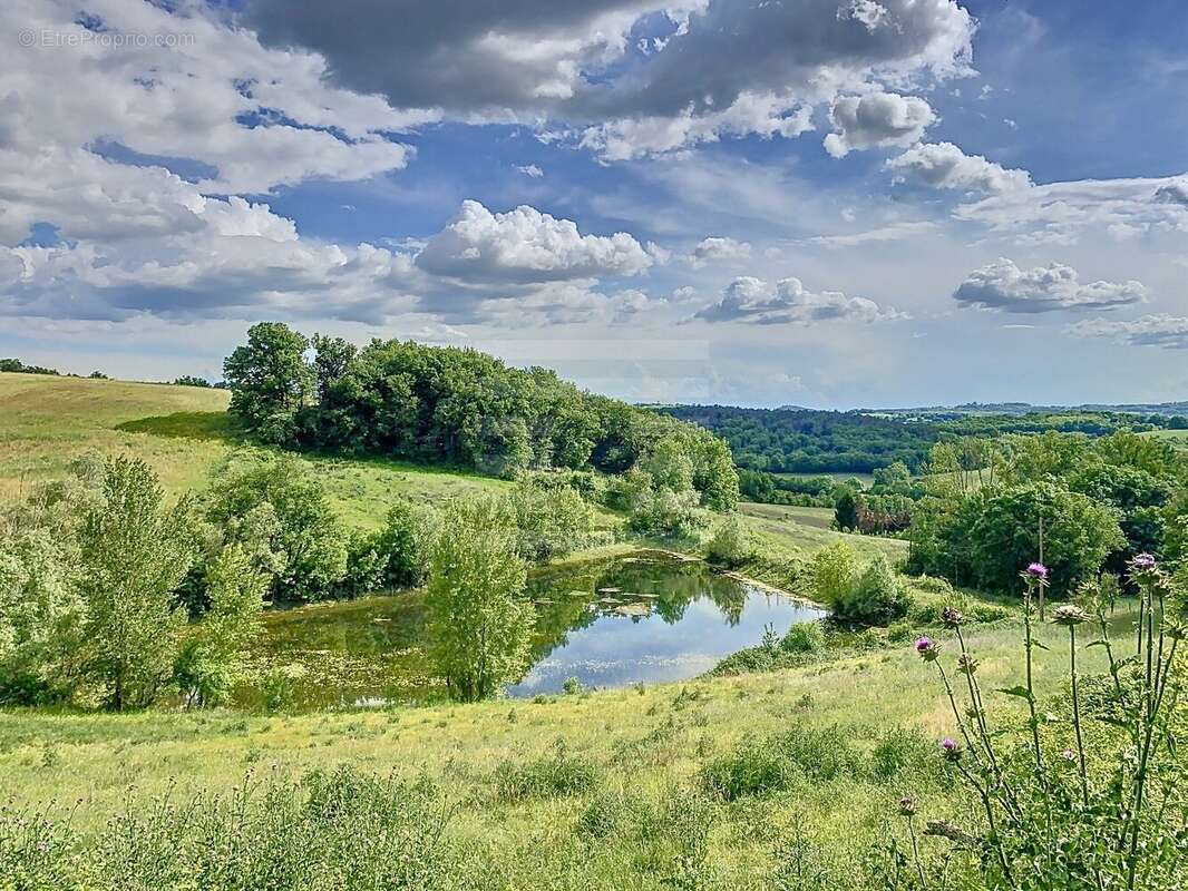 Maison à PUYLAURENS