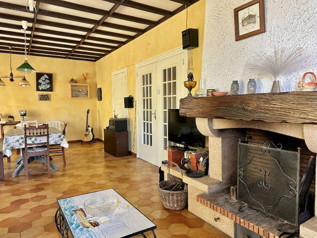 CHAMELET - Maison avec vue panoramique, au calme et 4 000 m² de terrain plat - photo 2
