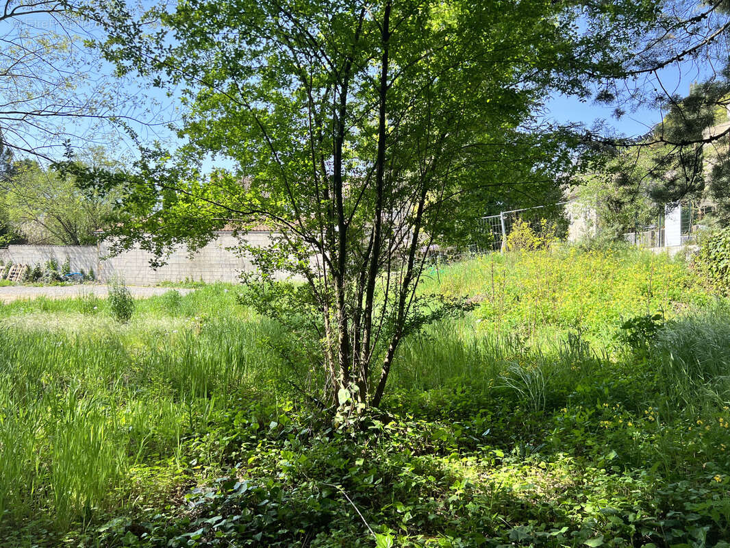 Terrain à SAINT-PRIVAT