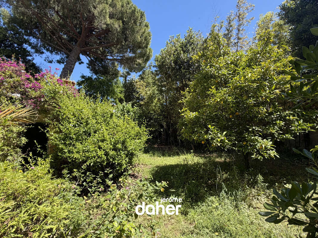 Maison à MARSEILLE-8E