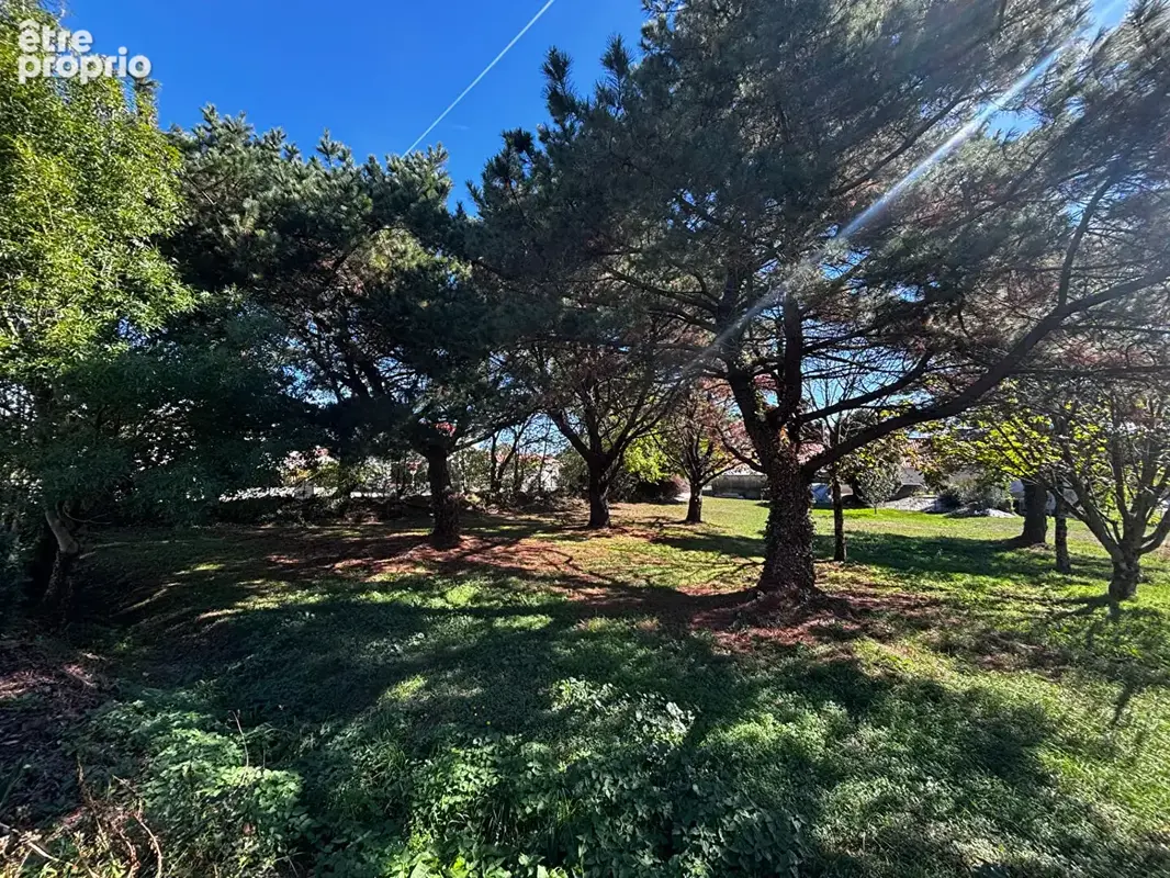 Terrain à L'AIGUILLON-SUR-VIE
