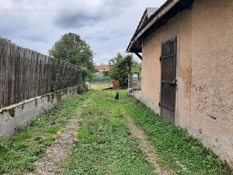 Maison à TOULON-SUR-ARROUX