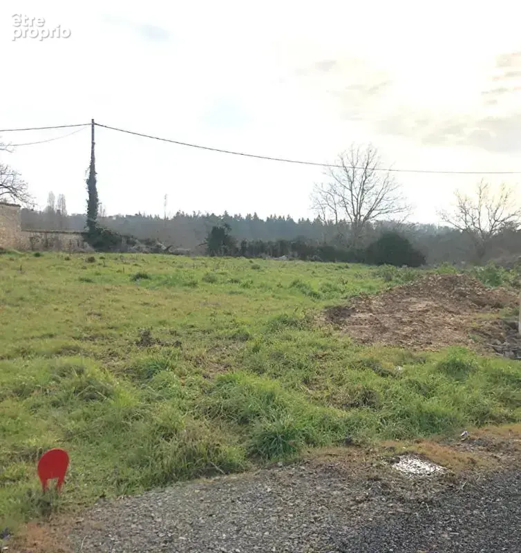 Terrain à MIGNE-AUXANCES