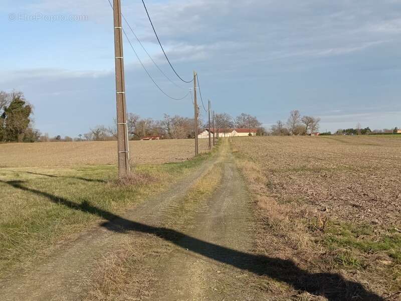 Maison à AIRE-SUR-L'ADOUR