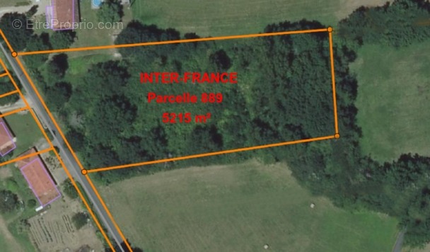 Terrain à CORDES-SUR-CIEL