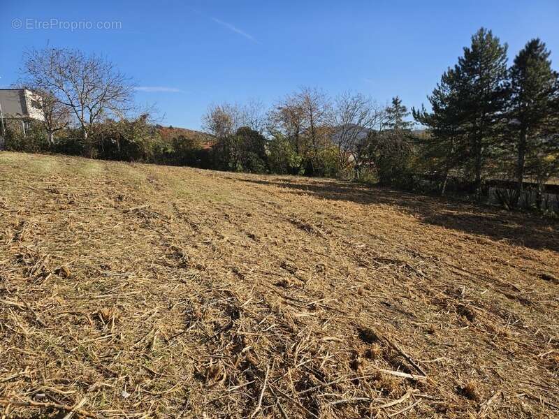 Terrain à VEYRE-MONTON