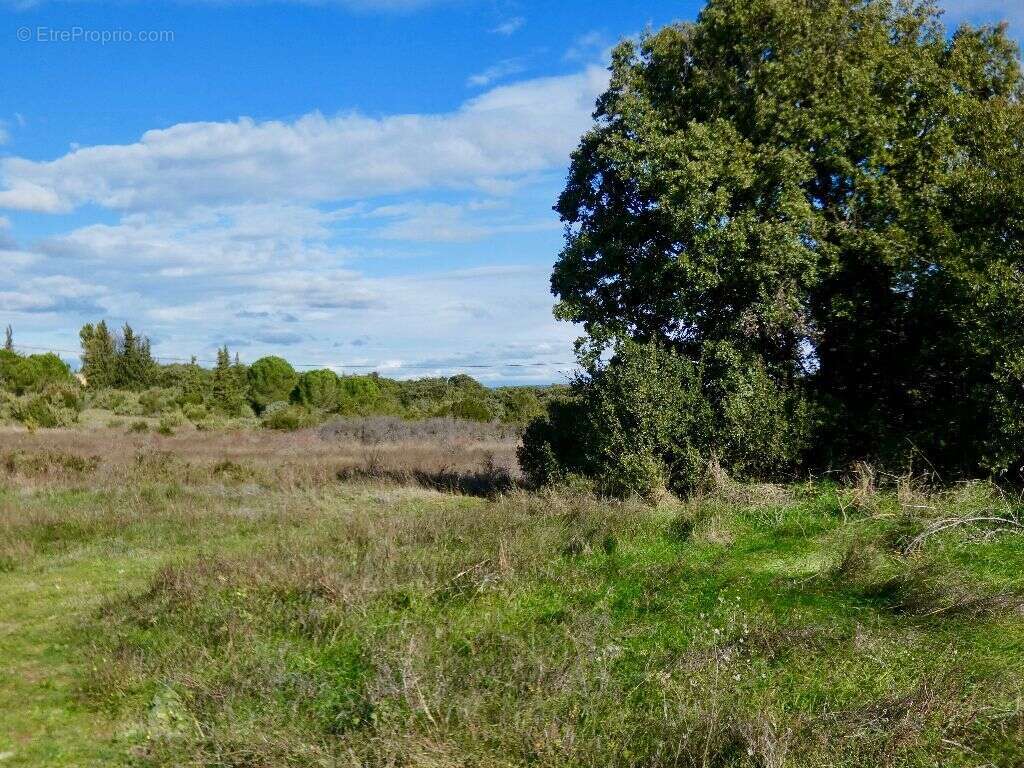 Terrain à POUZILHAC