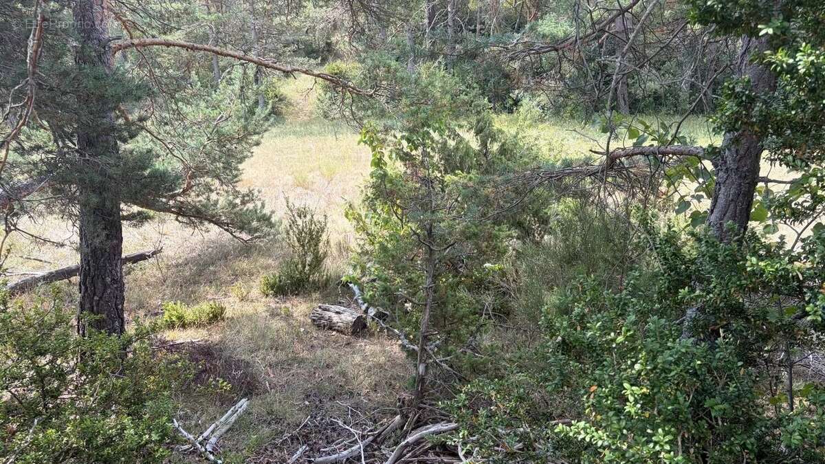 Terrain constructible de 1 990 m² – Un cadre naturel privilégié - photo 7
