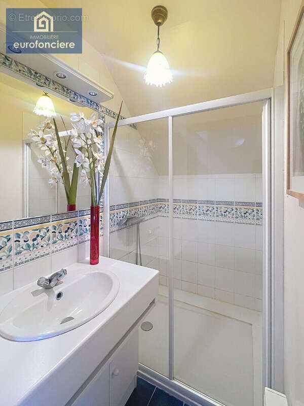 Maison à SAINT-BENOIT-SUR-SEINE