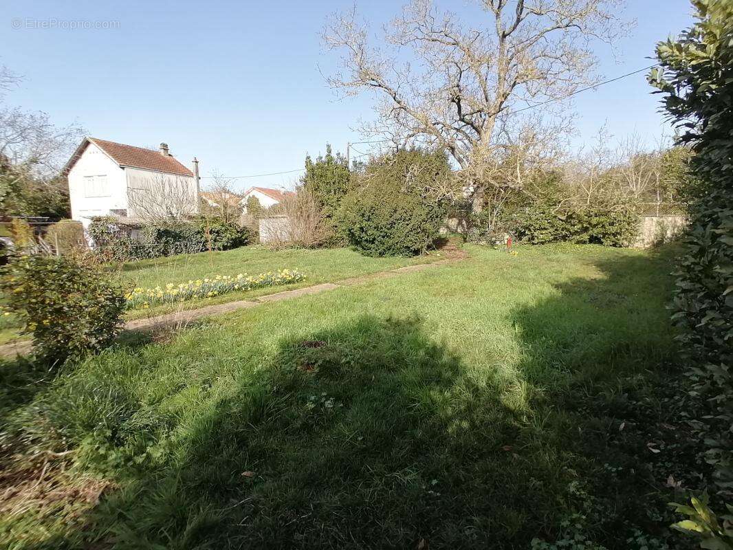 Terrain à BUXEROLLES