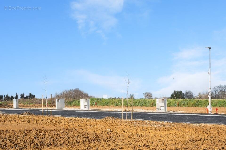 Terrain à LE CAILAR