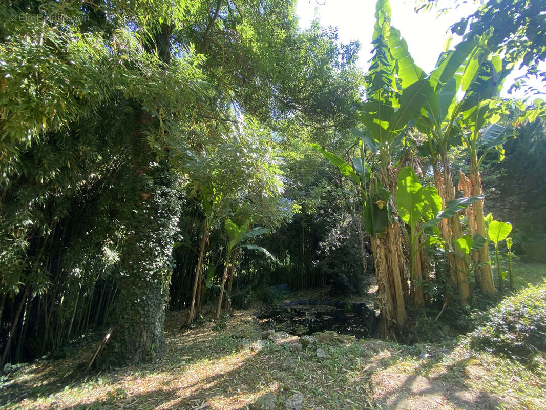 Maison à SAUVETERRE-DE-GUYENNE