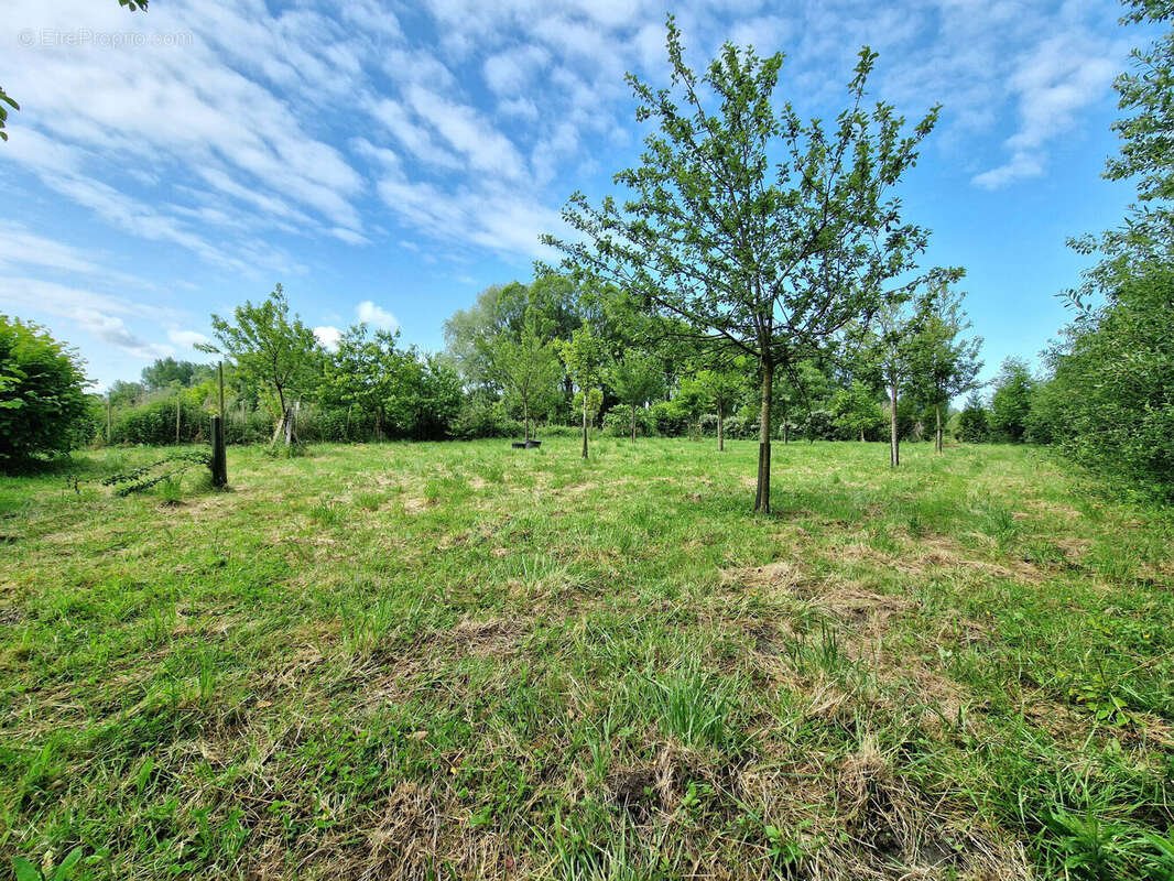 Photo 5 - Terrain à LA CALOTTERIE