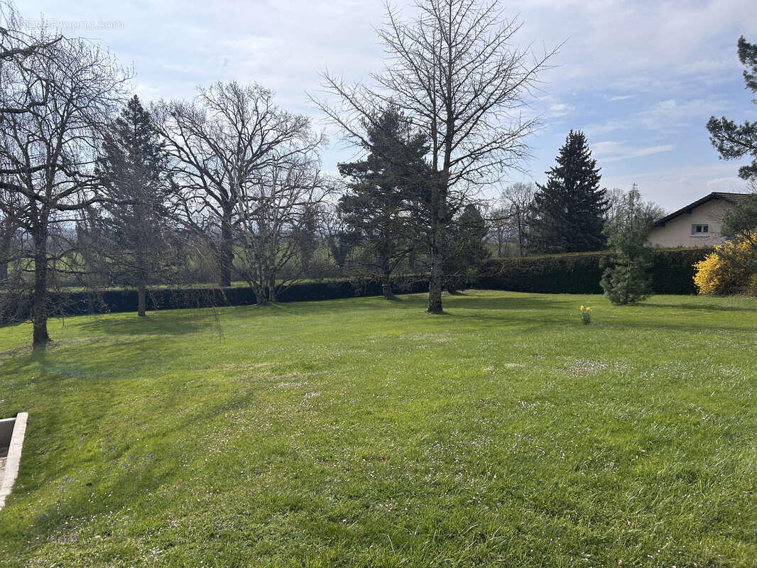 Terrain à DIVONNE-LES-BAINS