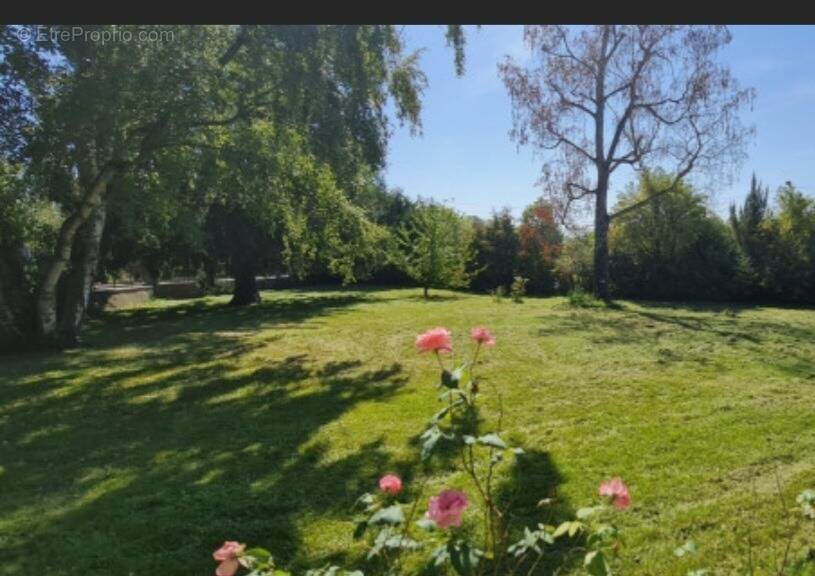 Terrain à MONTLHERY
